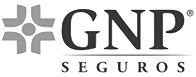 GNP copy